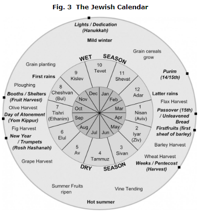 Tannaim Chart